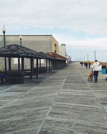 Nation's 10 Great Coastal Boardwalks